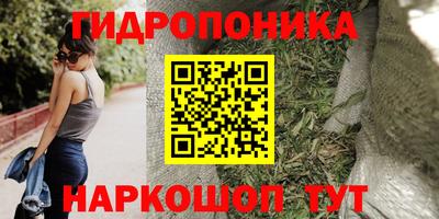 прущие грибы Бузулук