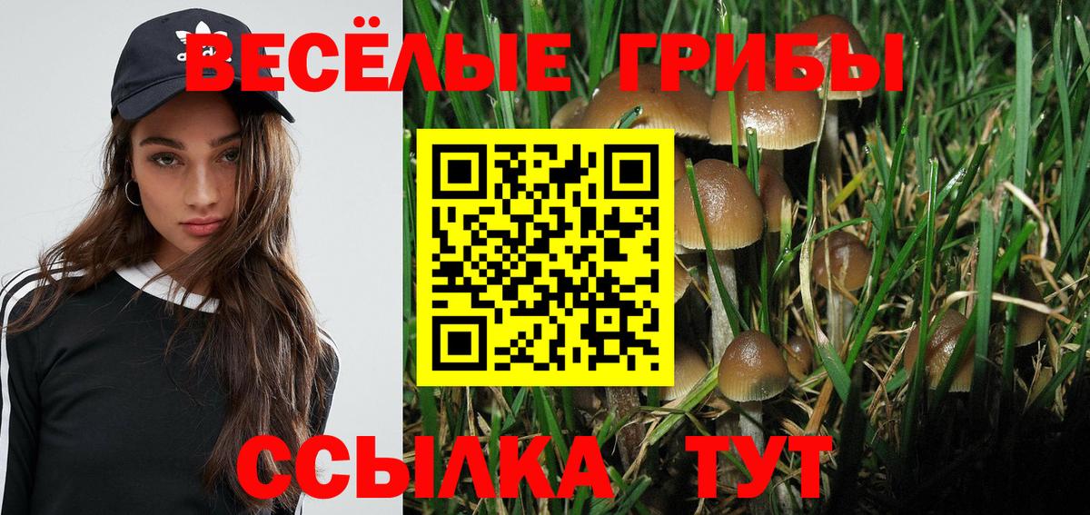 Галлюциногенные грибы мухоморы Большой Камень