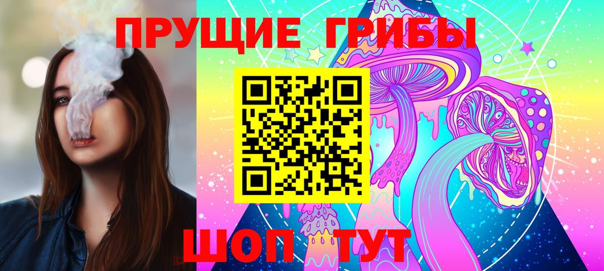 где купить наркоту  Вход с VPN  Псилоцибиновые грибы мицелий  Большой Камень  Галлюциногенные грибы Psilocybe 